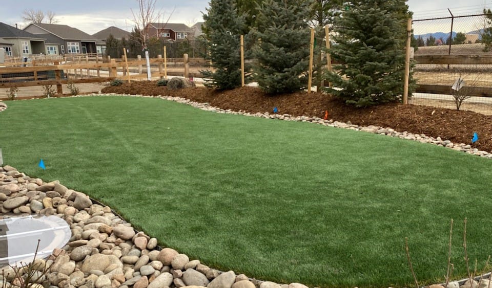 Turf installation with rock border in Berthoud, Colorado