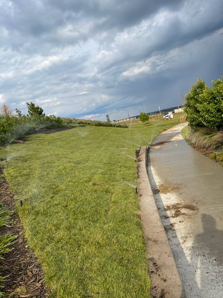 Spring Lawn Care & Cleanup